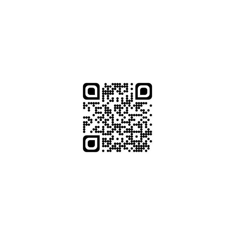 Djeco - Origami Animals