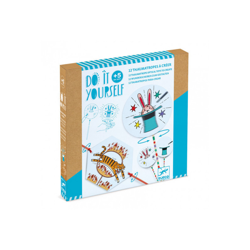 Djeco - In the ring!