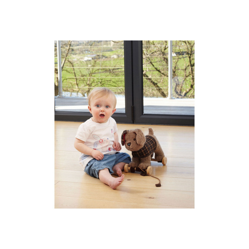 Little Bird Told Me - Percy Valp, dragdjur