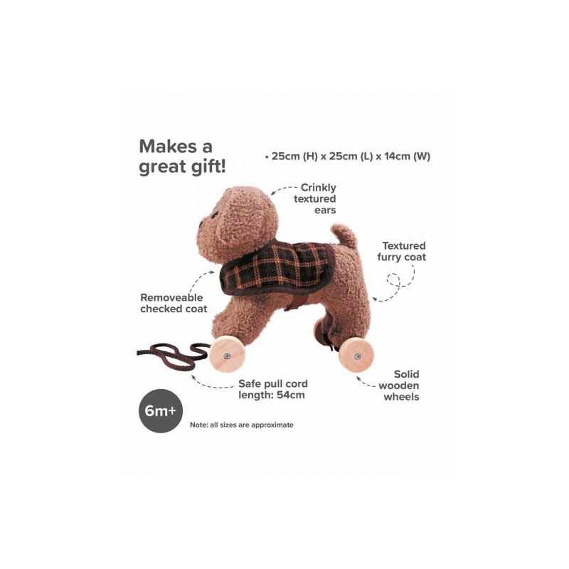 Little Bird Told Me - Percy Valp, dragdjur