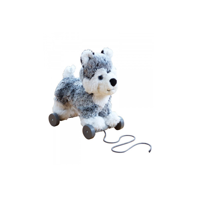 Little Bird Told Me - Mishka Hund, dragdjur