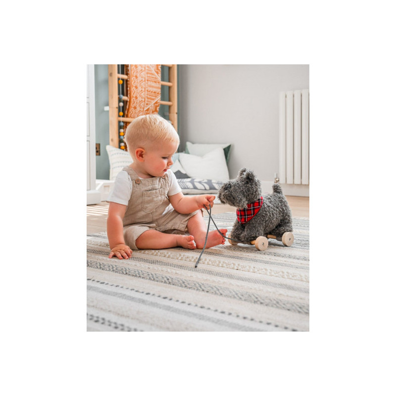 Little Bird Told Me - Scottie Hund, dragdjur