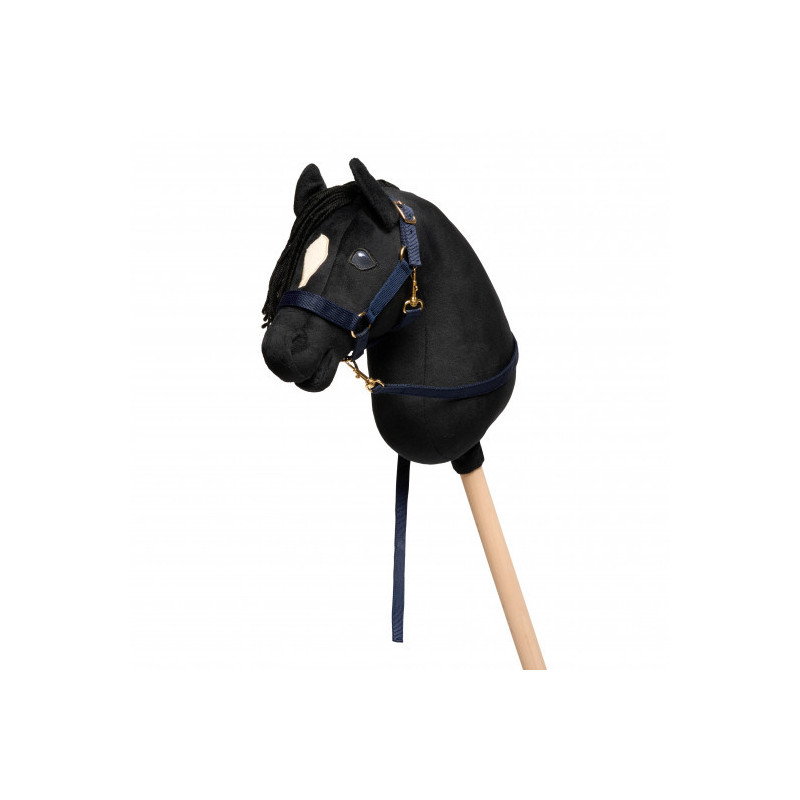 Cheval Roi - Käpphäst, Coco