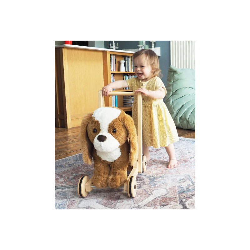 Little Bird Told Me - Peanut Pup gåvagn