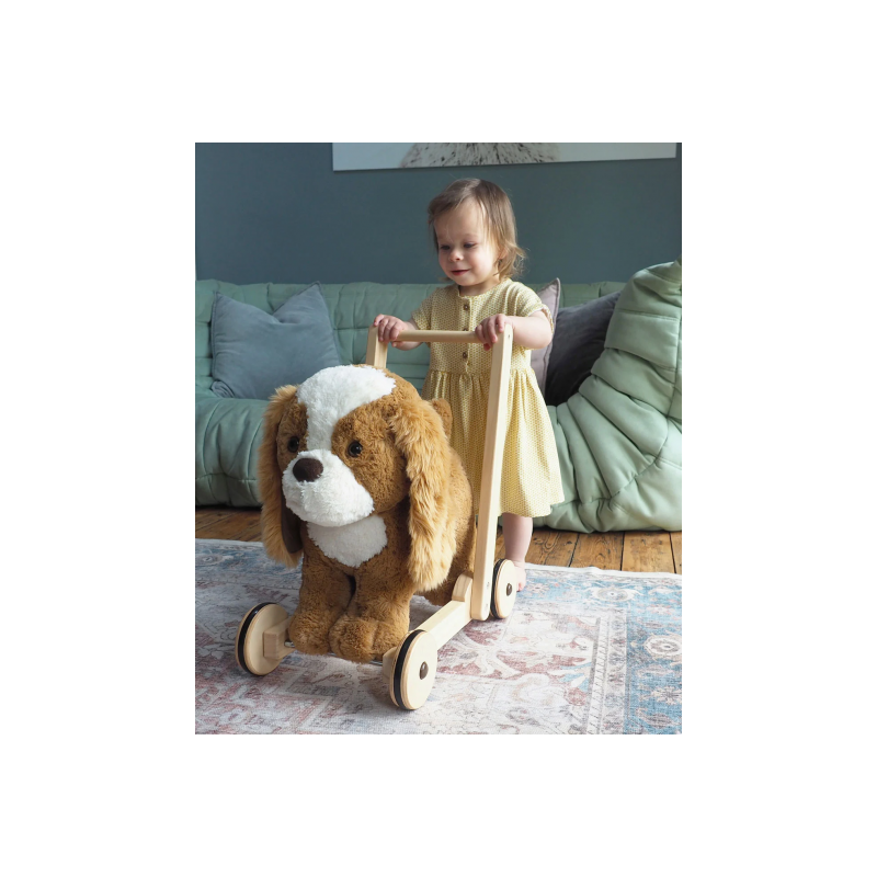 Little Bird Told Me - Peanut Pup gåvagn