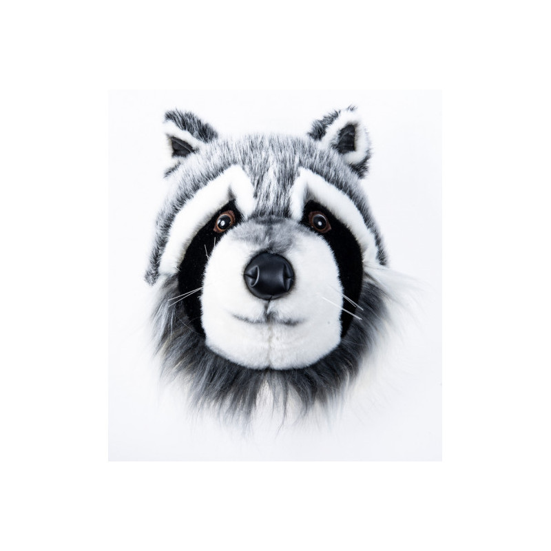 Brigbys - Tvättbjörnshuvud