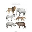 Fashionell - Poster - In the Savannah, 40x50 cm