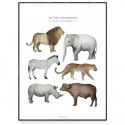 Fashionell - Poster - In the Savannah, 40x50 cm