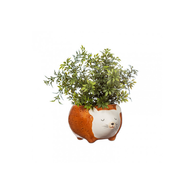 Sass & Belle - Kruka igelkott