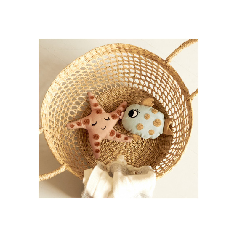 Roommate - Skallra, STAR FISH