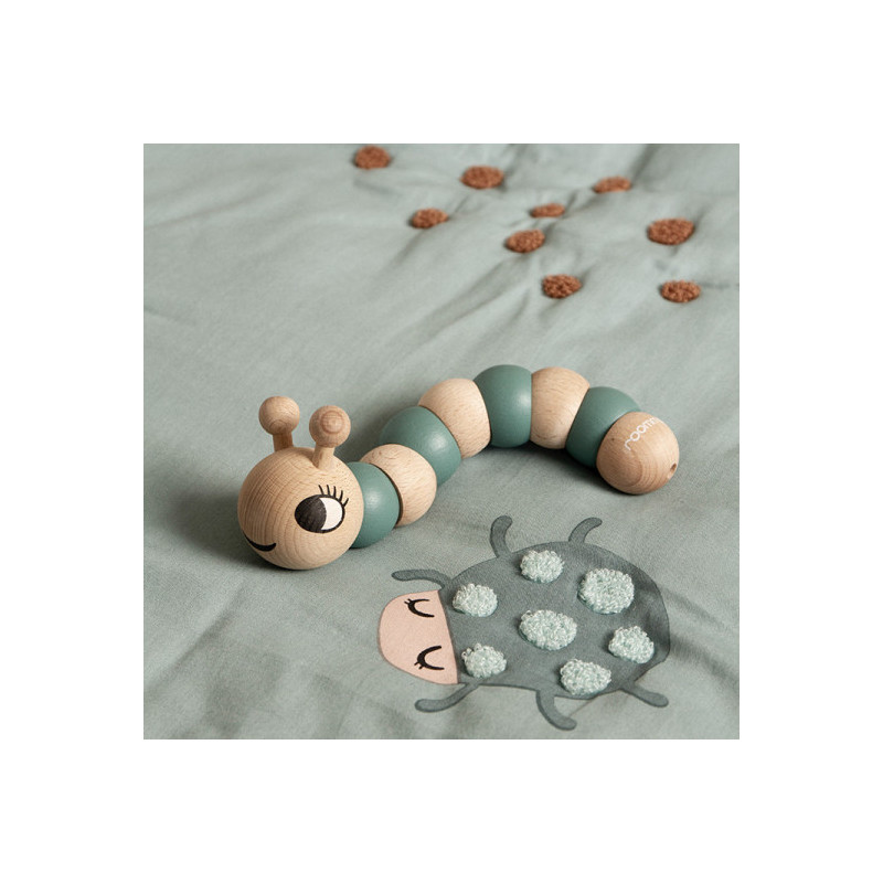 Roommate - Flexi Worm