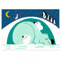 Djeco - Learning about animals