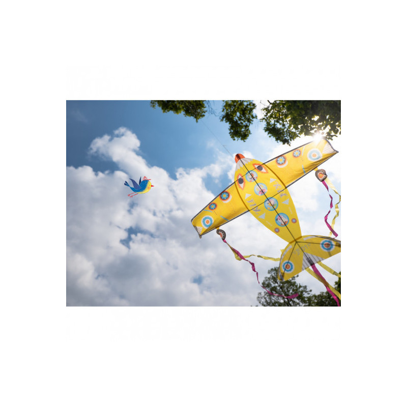 Djeco - Kite: Maxi Plane