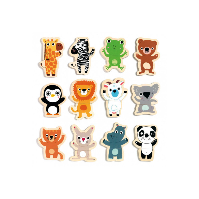 Djeco - Coucou magnetics