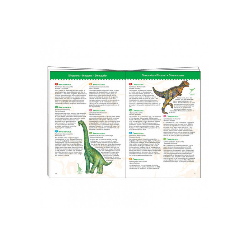 Djeco - Observation puzzle, Dinosaur + booklet, 100 pcs - FSC MIX