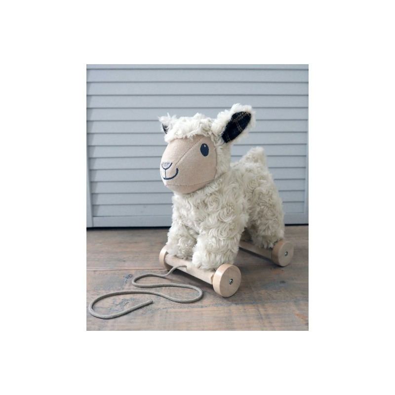 Little Bird Told Me - Lambert sheep, dragdjur