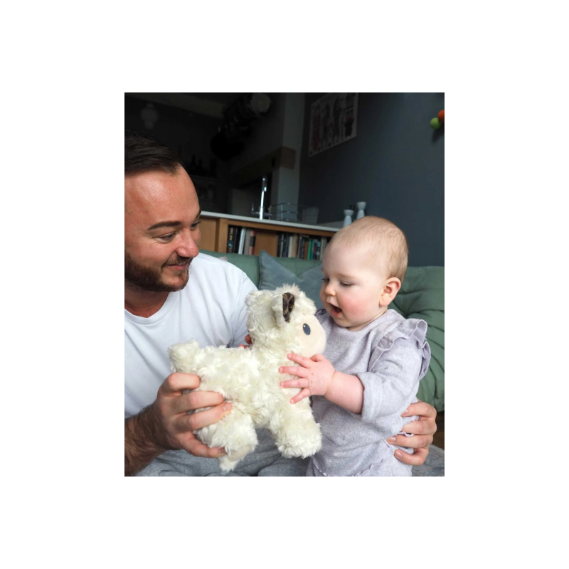 Little Bird Told Me - Lambert sheep, dragdjur