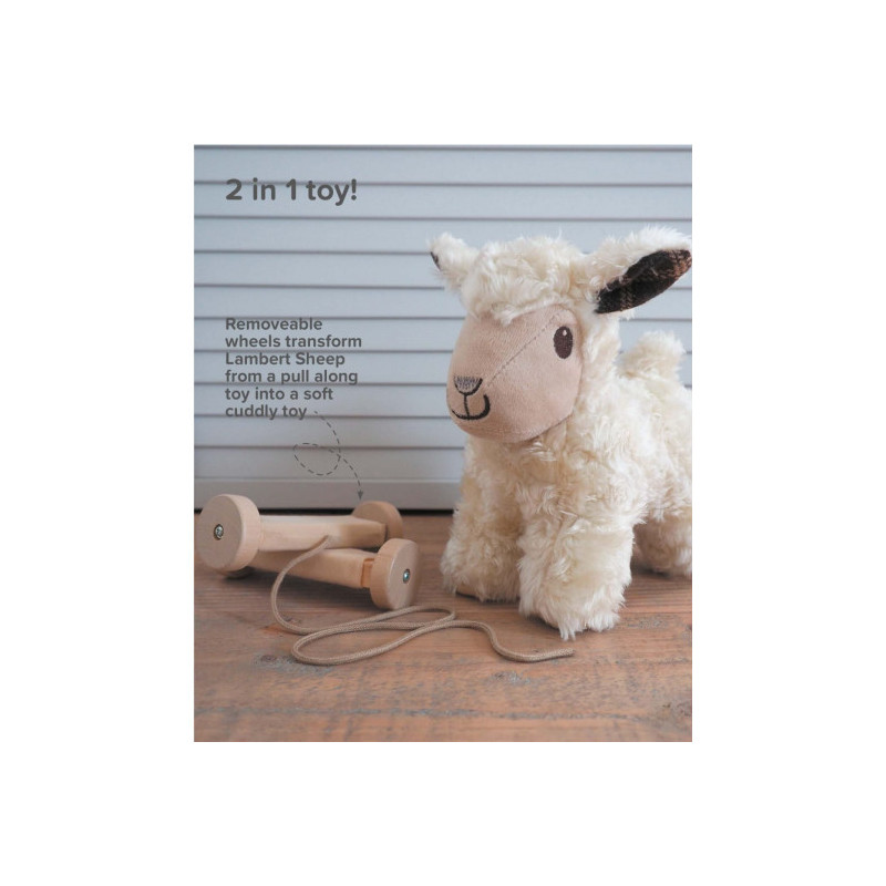 Little Bird Told Me - Lambert sheep, dragdjur