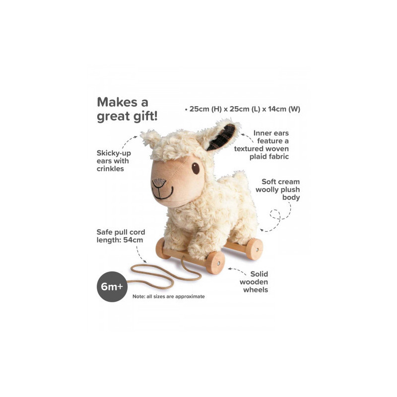 Little Bird Told Me - Lambert sheep, dragdjur