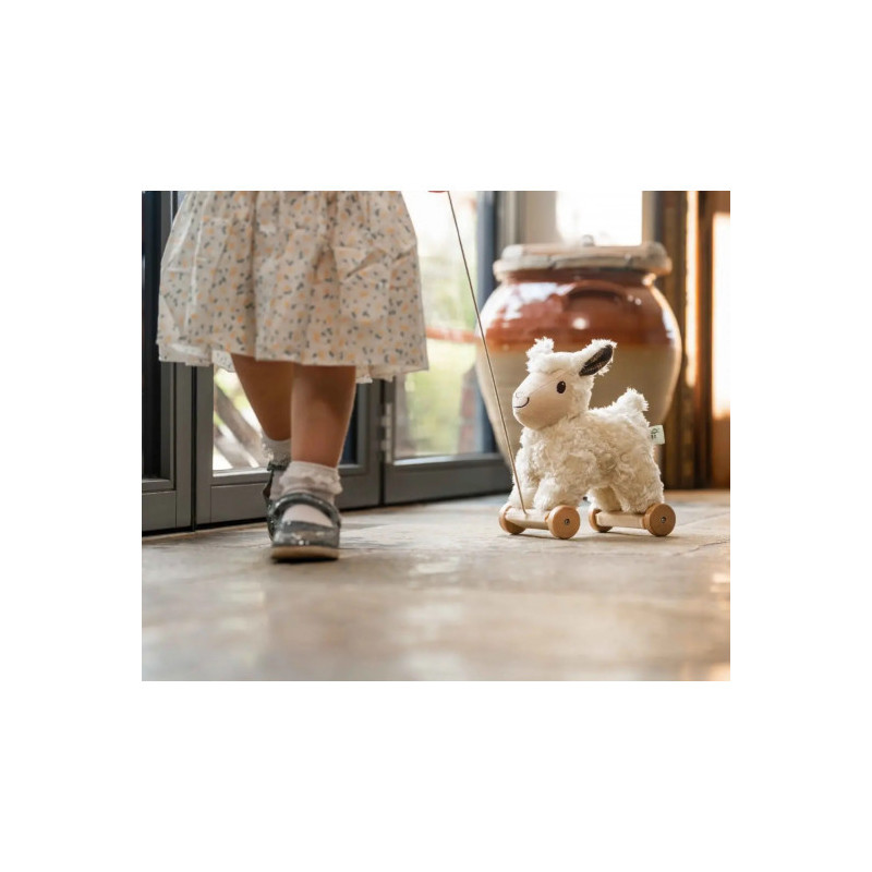 Little Bird Told Me - Lambert sheep, dragdjur