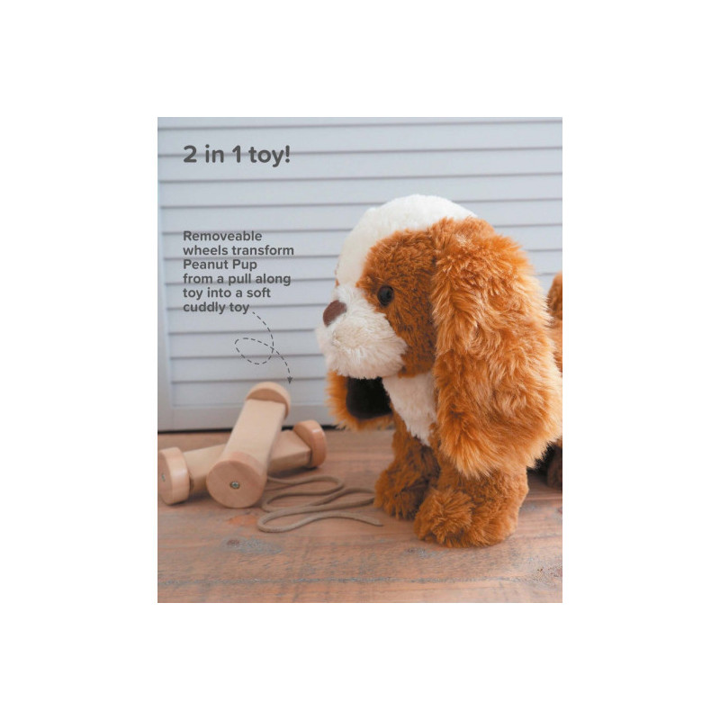 Little Bird Told Me - Peanut pup, dragdjur