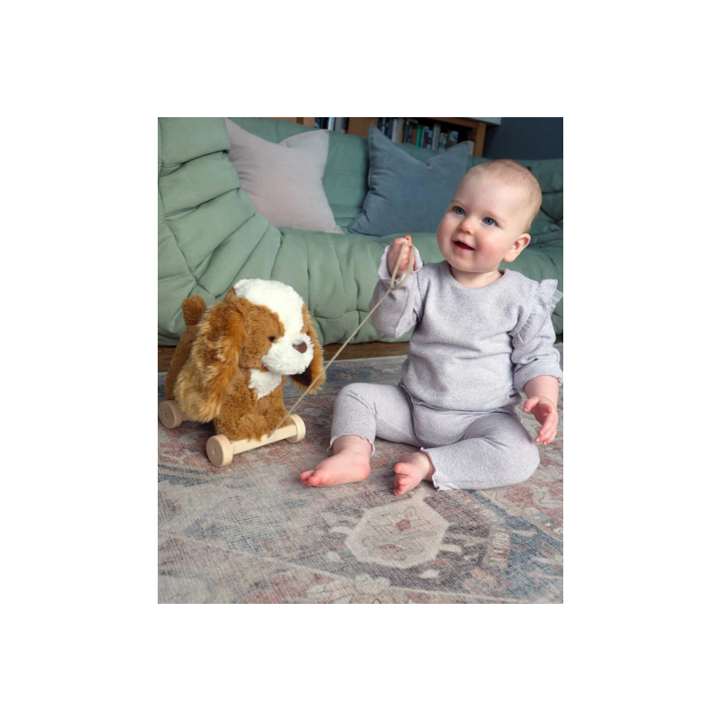 Little Bird Told Me - Peanut pup, dragdjur