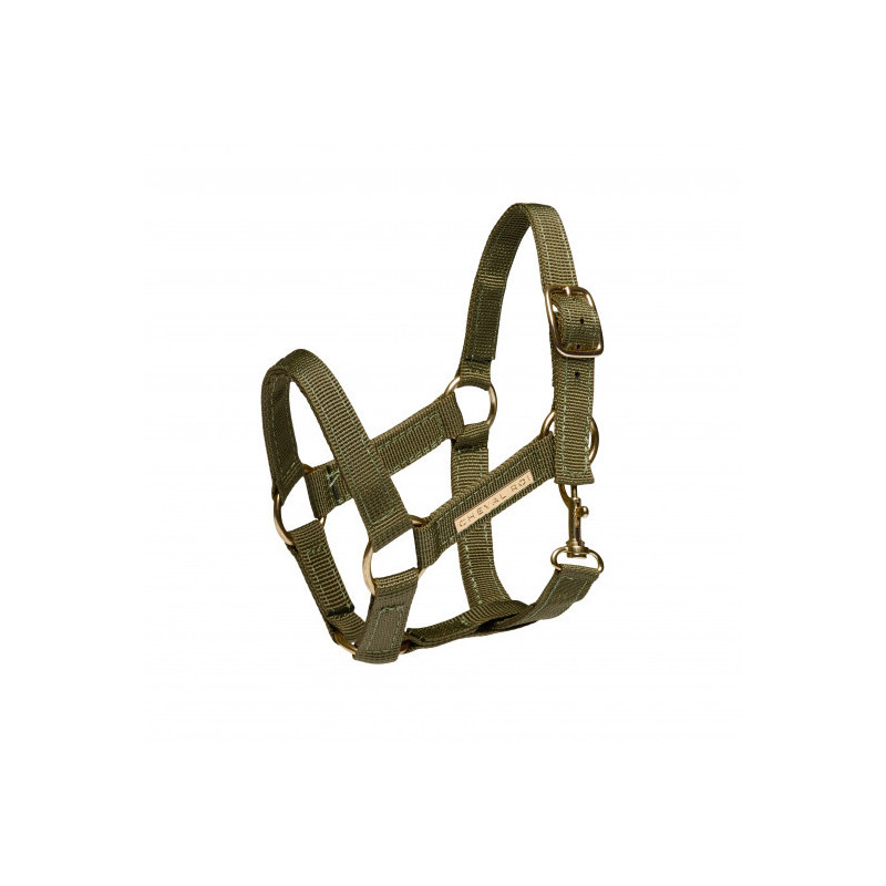 Cheval Roi - grimma till käpphäst, grön