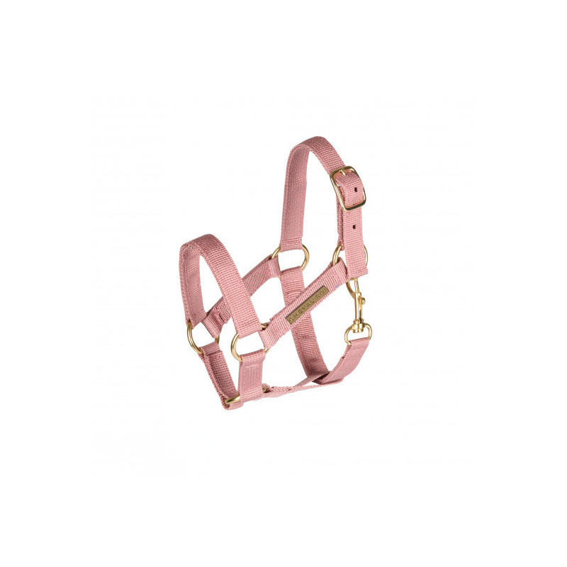 Cheval Roi - grimma till käpphäst, rosa