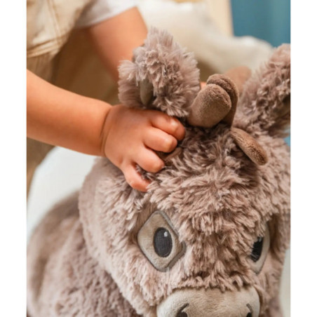 Little Bird Told Me - Norbert åsna, gåvagn