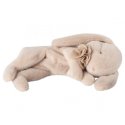 Maileg - Sleeping bunny plush, Small - Powder
