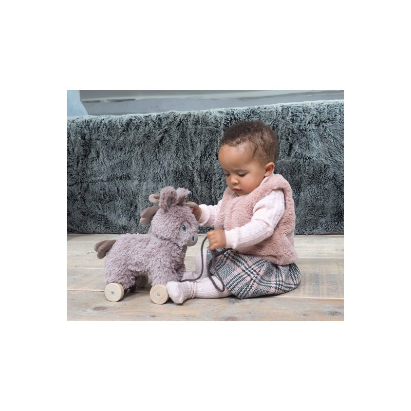 Little Bird Told Me - Norbert åsna, dragdjur