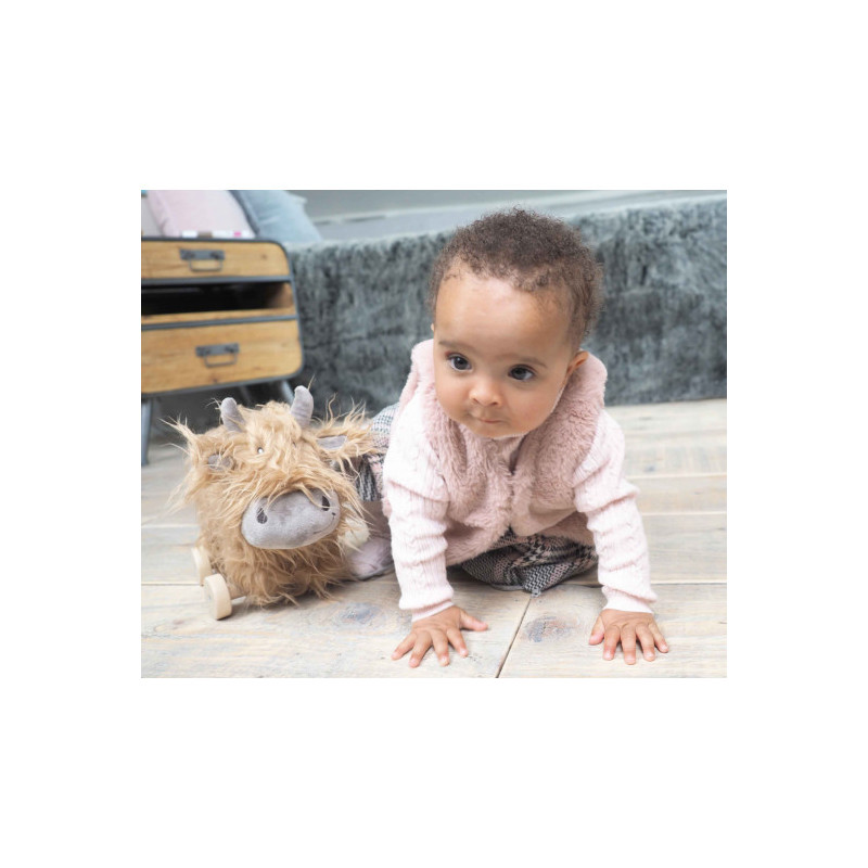 Little Bird Told Me - Hubert ko, dragdjur