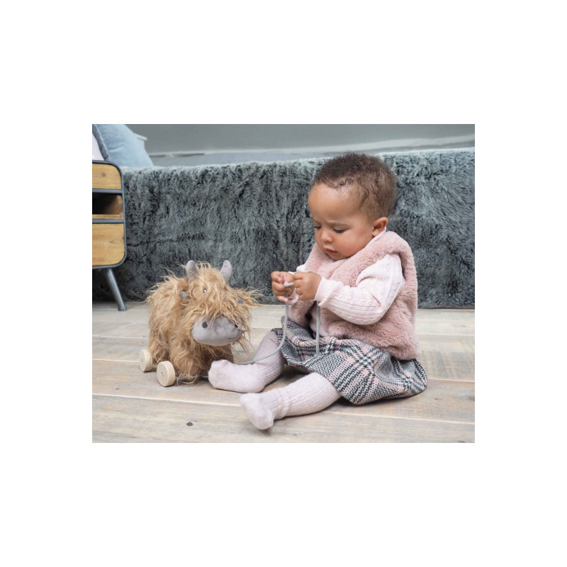 Little Bird Told Me - Hubert ko, dragdjur