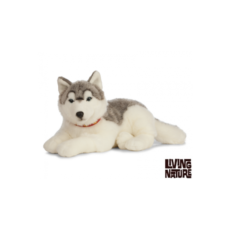 Living nature - Giant husky