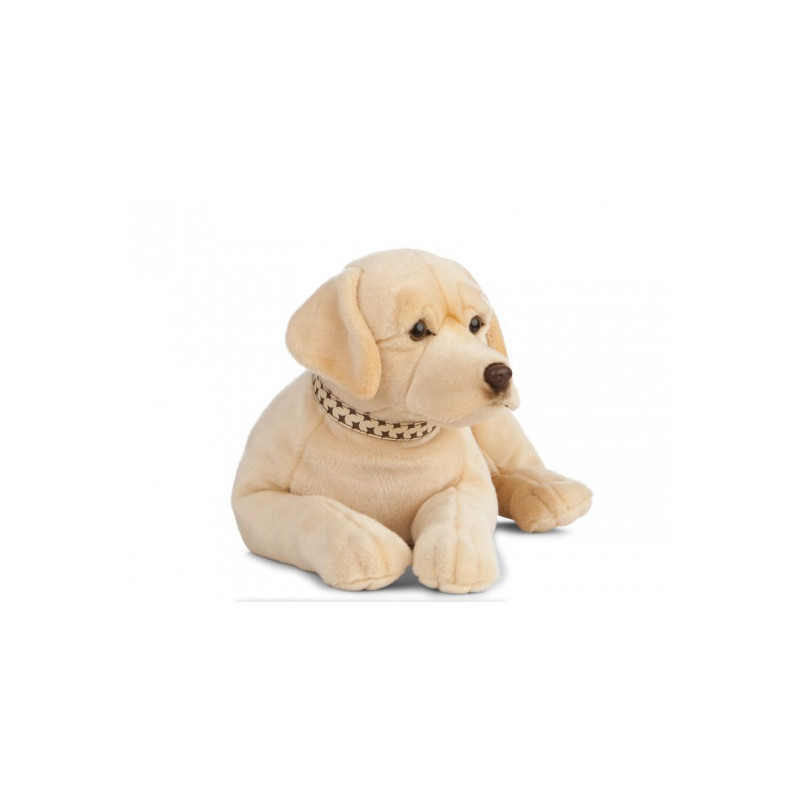 Living nature - Giant golden Lab