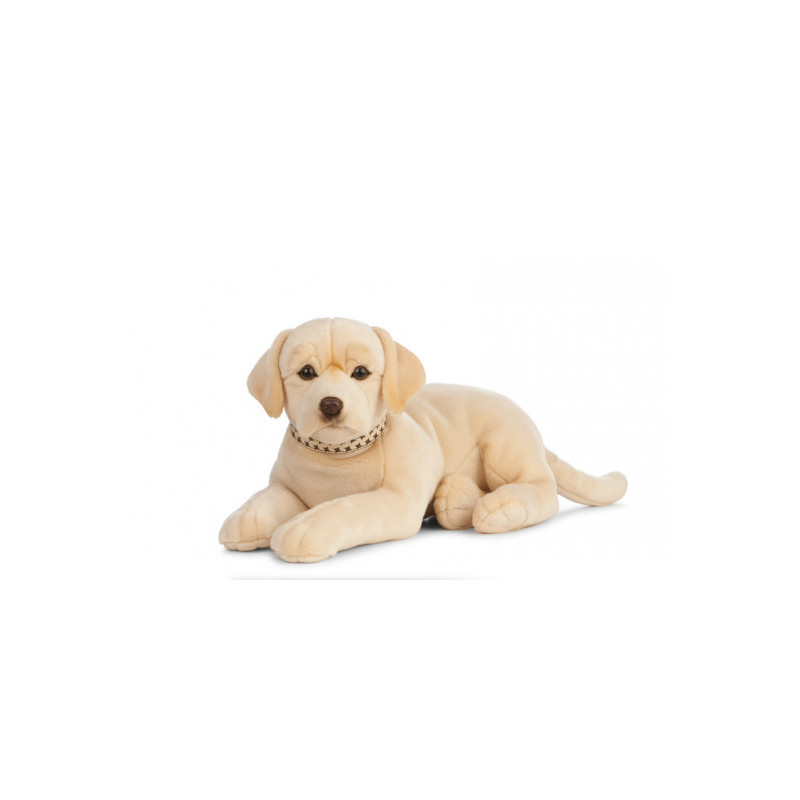 Living nature - Giant golden Lab