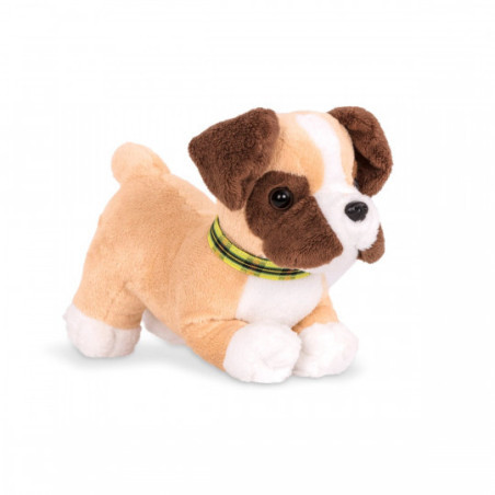 Our Generation - Boxer