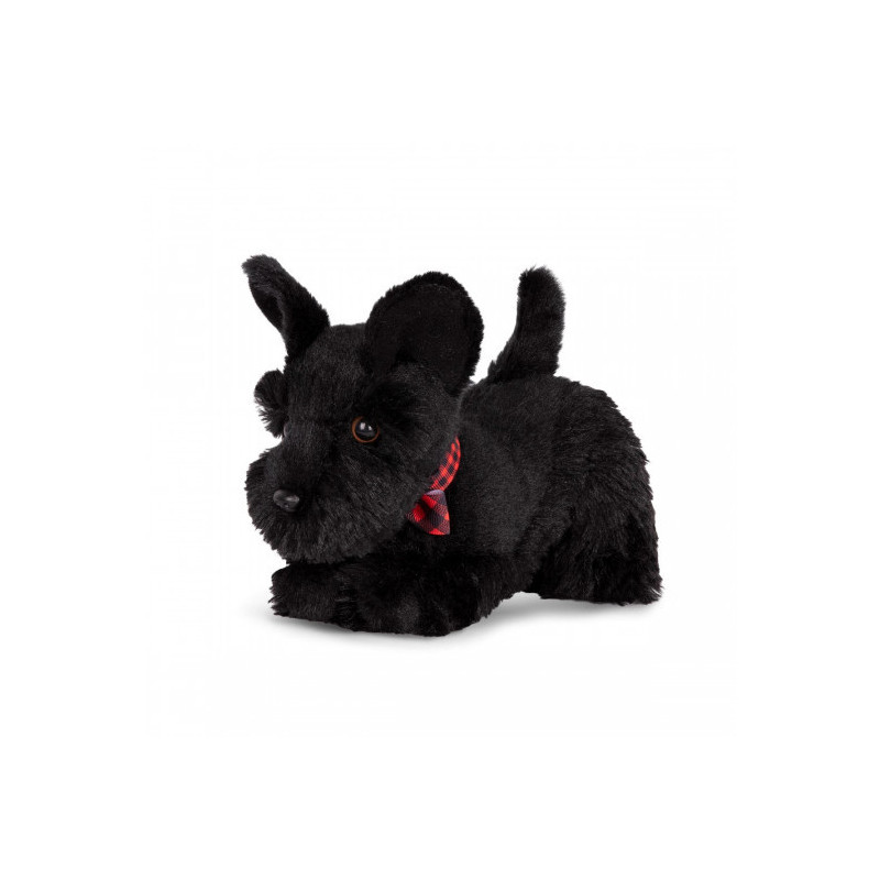 Our Generation - Scottie