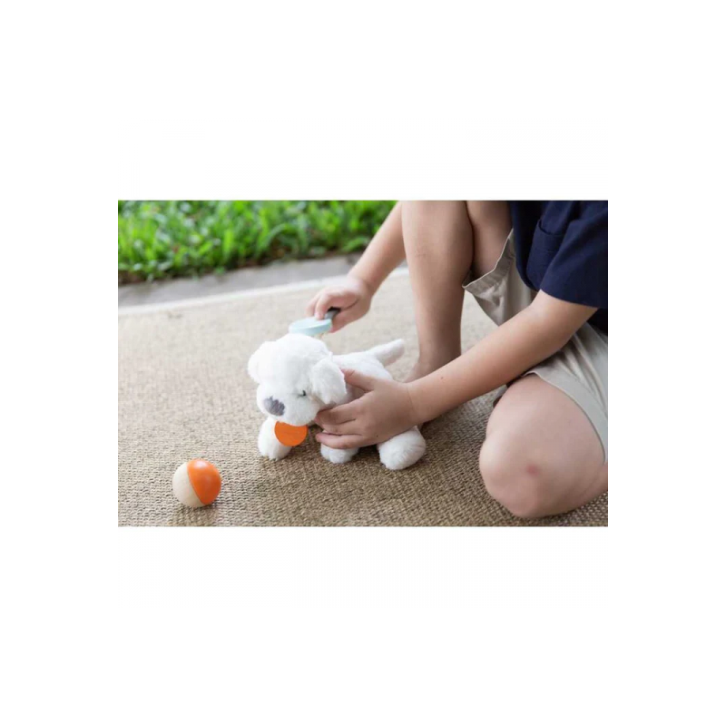 PlanToys - Pet Care Set