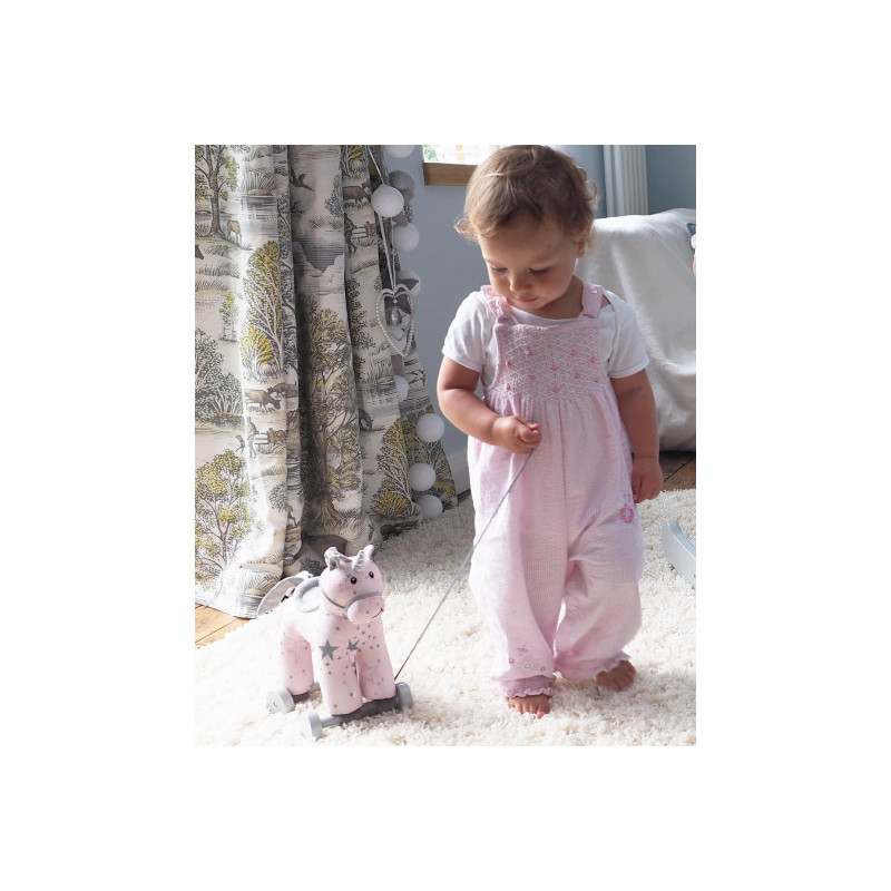 Little Bird Told Me - Celeste Enhörning dragdjur