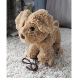 Little Bird Told Me - Dexter Hund, dragdjur