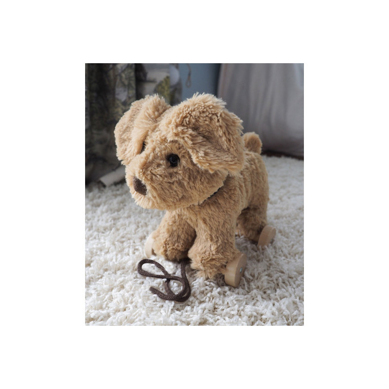 Little Bird Told Me - Dexter Hund, dragdjur