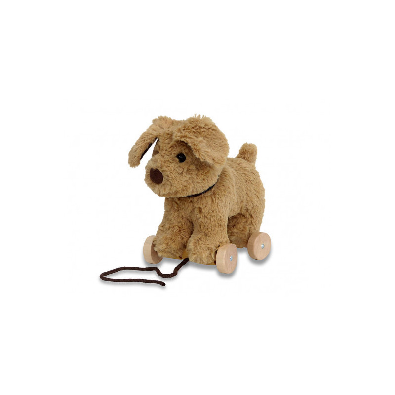 Little Bird Told Me - Dexter Hund, dragdjur