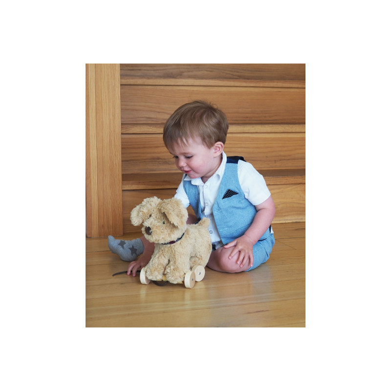 Little Bird Told Me - Dexter Hund, dragdjur