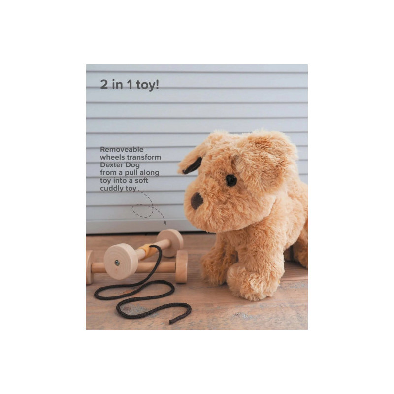 Little Bird Told Me - Dexter Hund, dragdjur