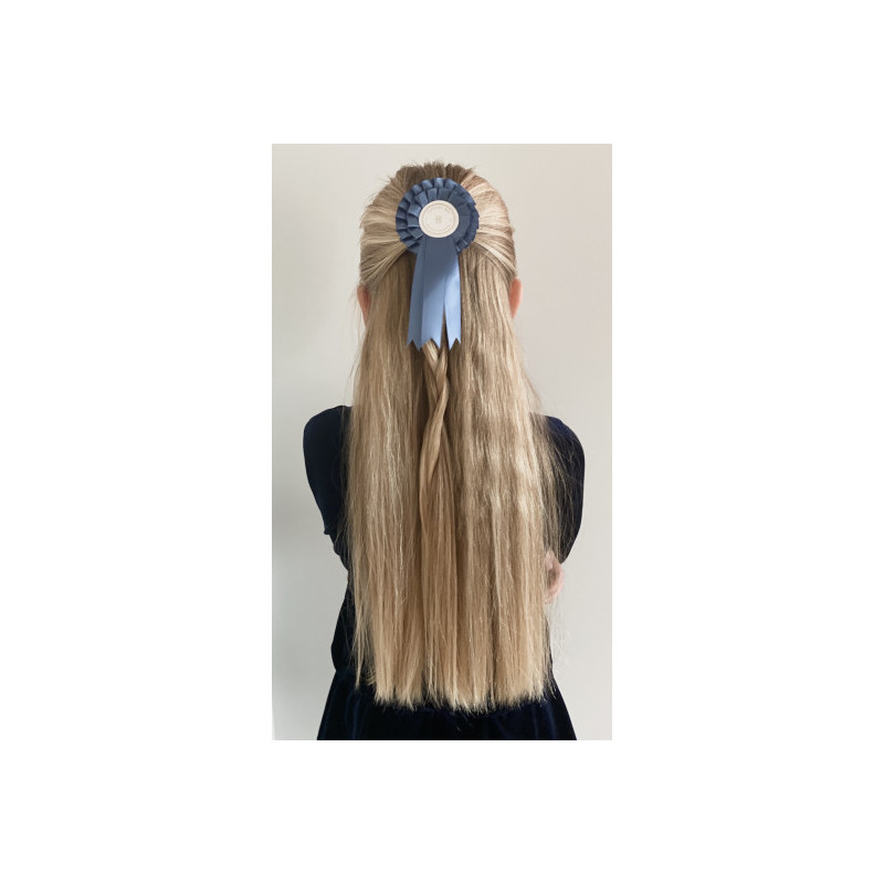 Cheval Roi - rosetter käpphäst, blå/rosa