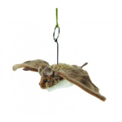 Living nature - Bat Small