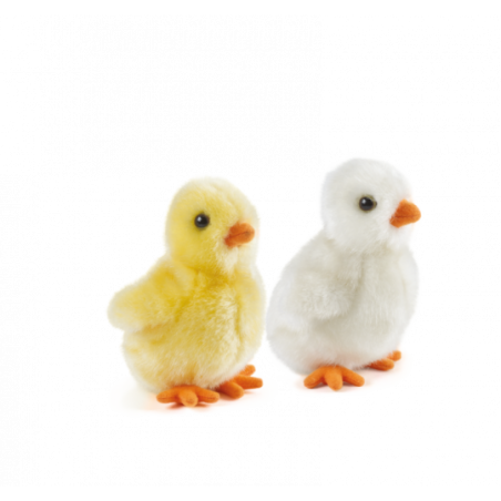 Living nature - Fluffy Chicks, vit