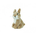 Living nature - Sitting Baby Rabbit