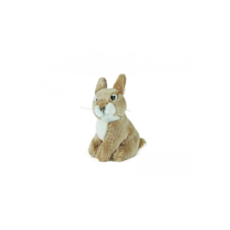 Living nature - Sitting Baby Rabbit
